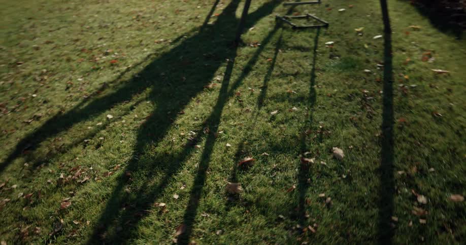 The shadow of a person pushing another person on a swing moves across the grass