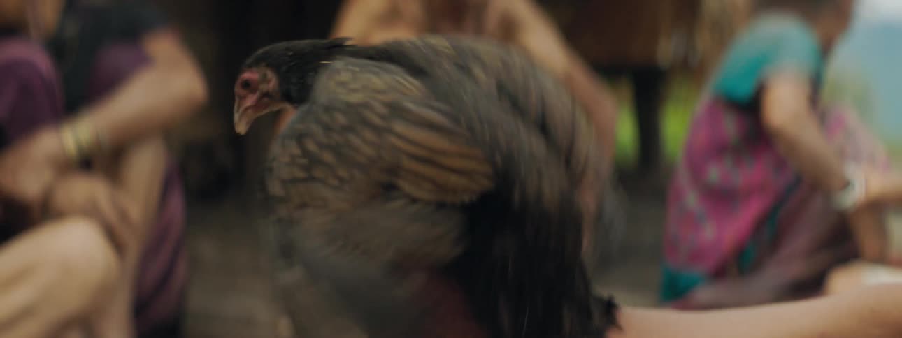 People in a third world area watch and turn their heads as a man hits a bird with a stick to kill it