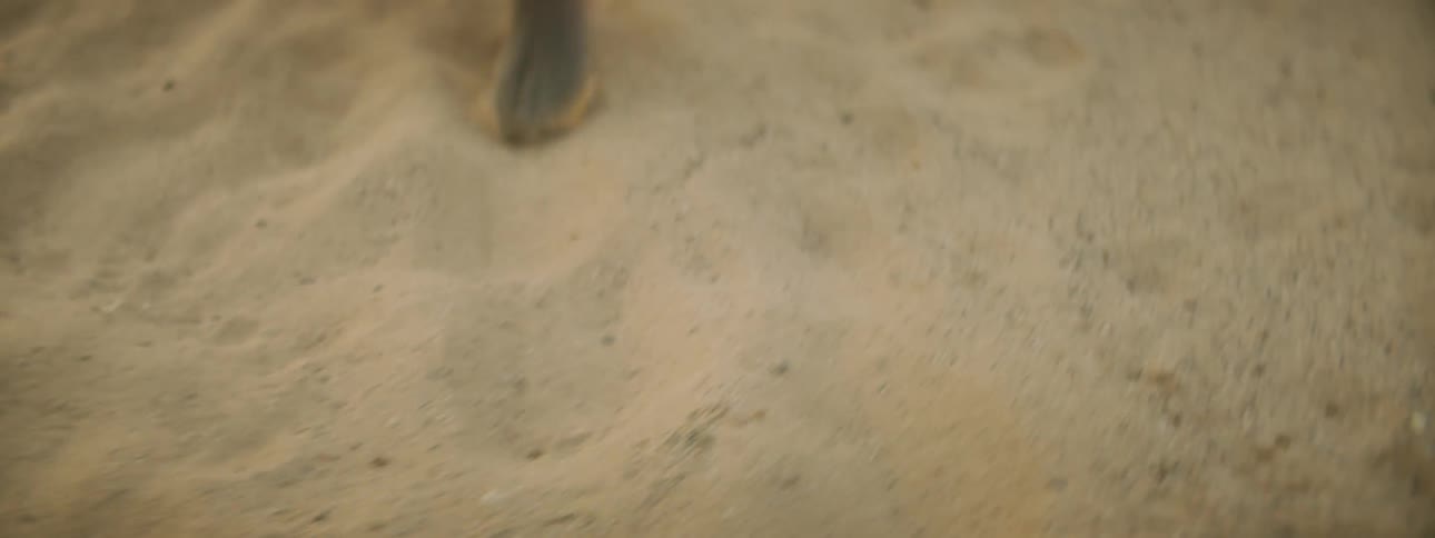 Bare chested men in traditional garb dance in sand