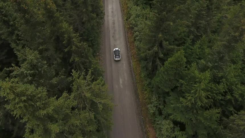 A car travels down a road with high trees around it