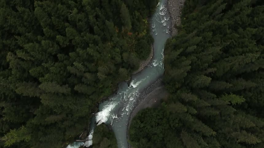 A stream below runs through a dense forest