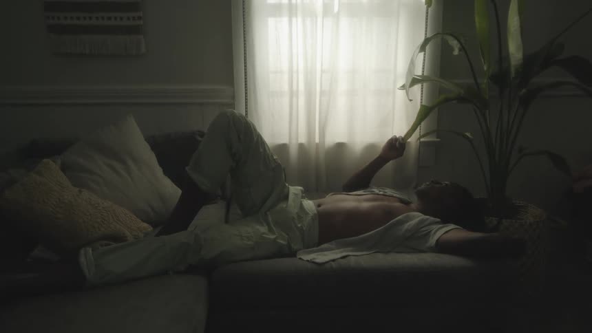 Man lies on his back on couch touching leaves of nearby potted plant