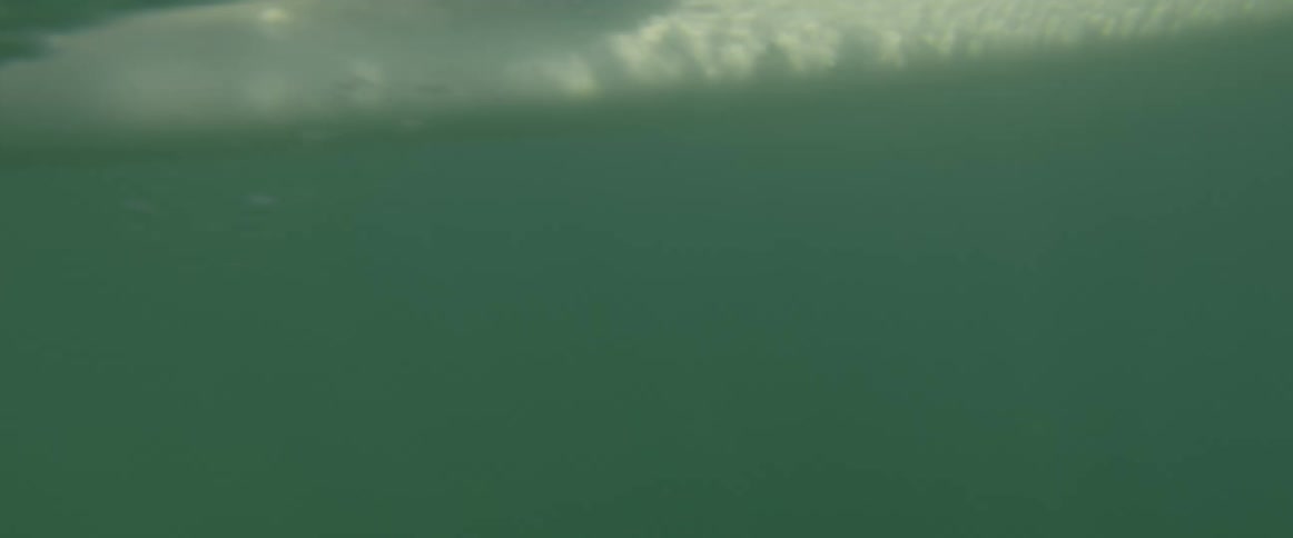 A white man is on there surf board on the ocean in the middle of the day