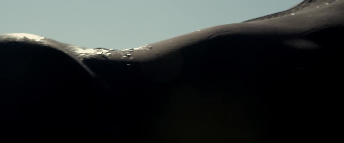 Bald man swimming over a white surfboard floating on the ocean