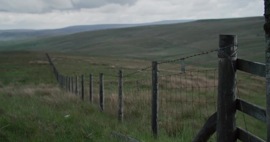 A simple fence stands in the middle of a sprawling expanse of grassland
