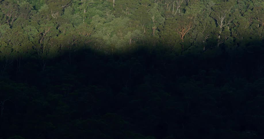 An aerial view of a large dark shadow covering a forest