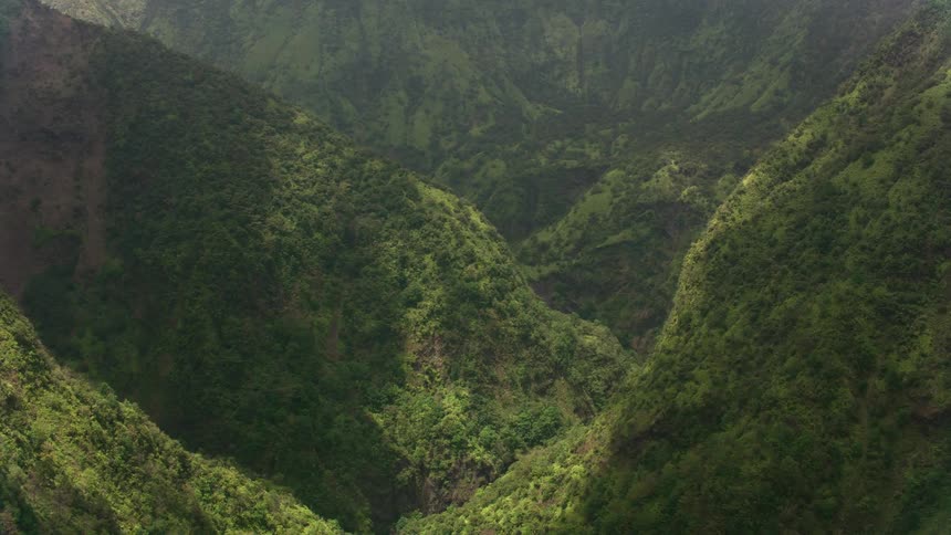 Aerial view of a pass through the lush green vegetation over the mountains