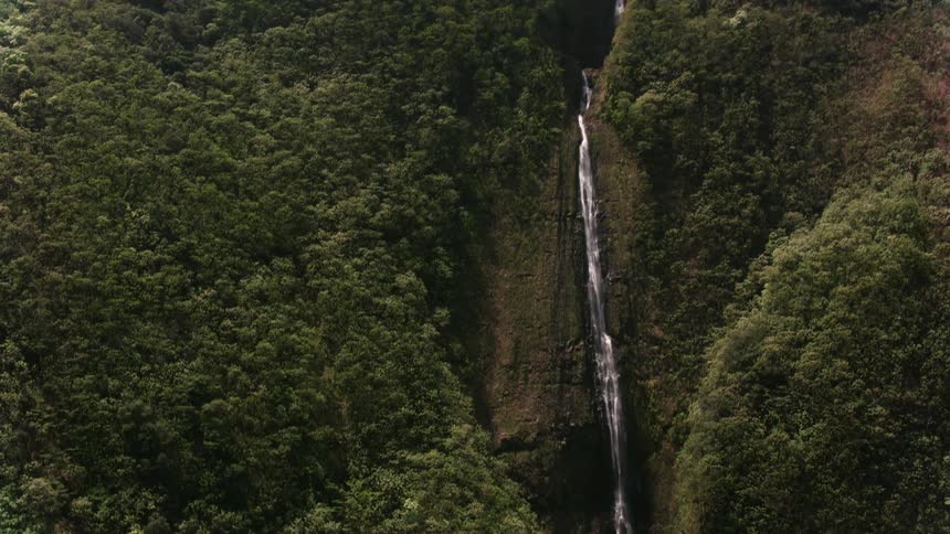 Waterfalls are flowing down the side of a mountain among trees and plants