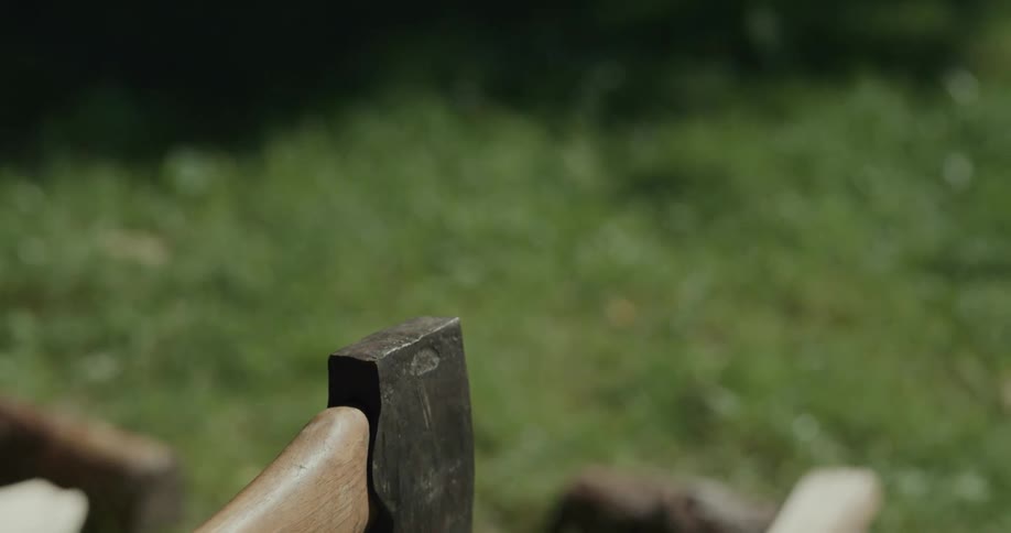 A man places a block of wood on a tree stump before splitting it with a hatchet