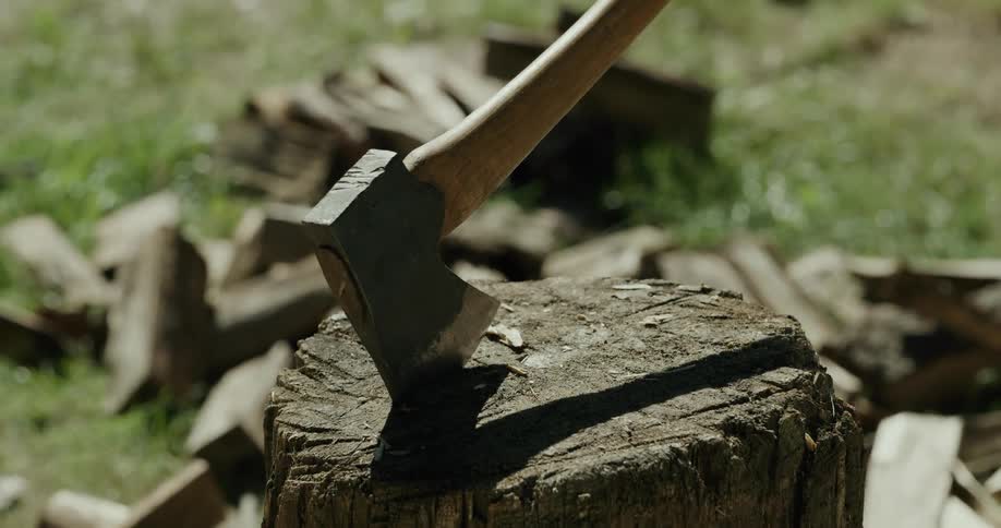 An axe stuck in a stump surrounded by chopped wood outdoors