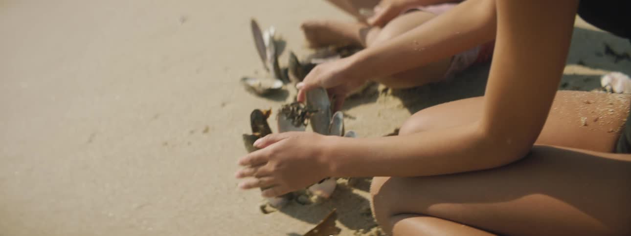 A boy and girl in swimsuits playing with clams on a sandy beach