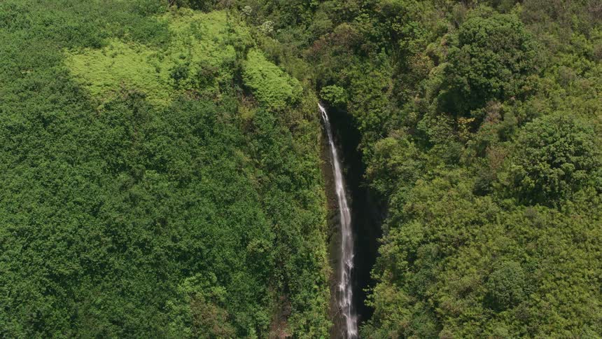 A waterfall rushes down the side of a lush canyon covered on trees and bushes