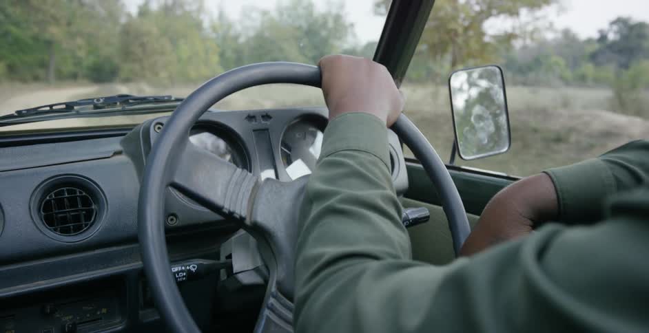A person is steering a car near a forest