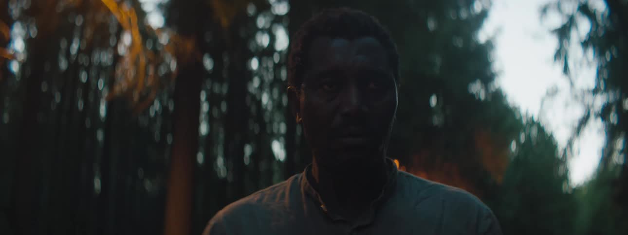 Depressed man standing in the forest is silhouetted against the dark trees at dusk