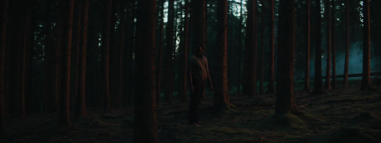 Man stands among trees in conifer looking around as smoke flows across ground