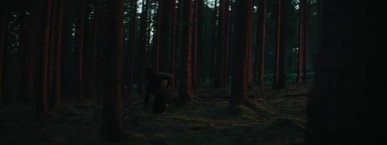A person is moving on the ground in the woods