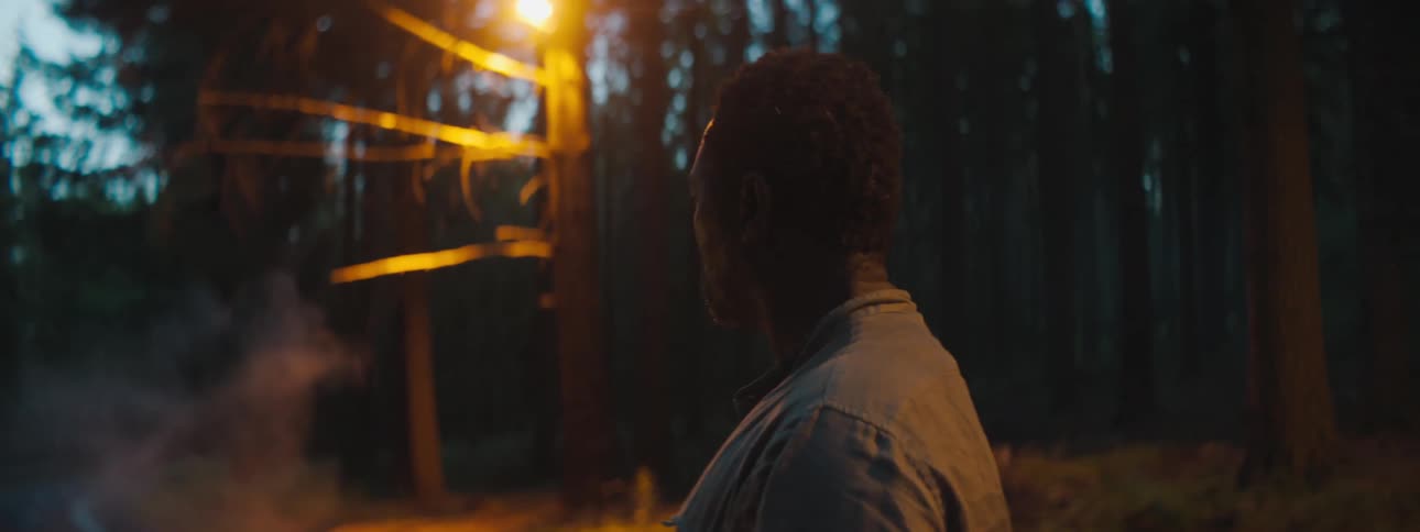 Man stands looking around in forest near streetlight as smoke flows across ground