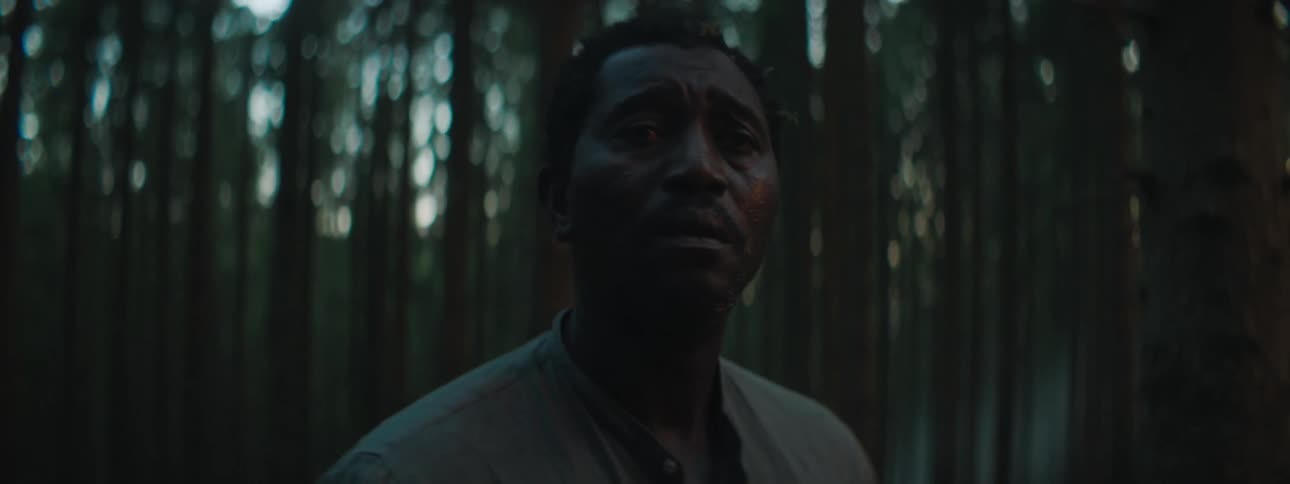 A worried man standing in a forest in the evening stands into the distance