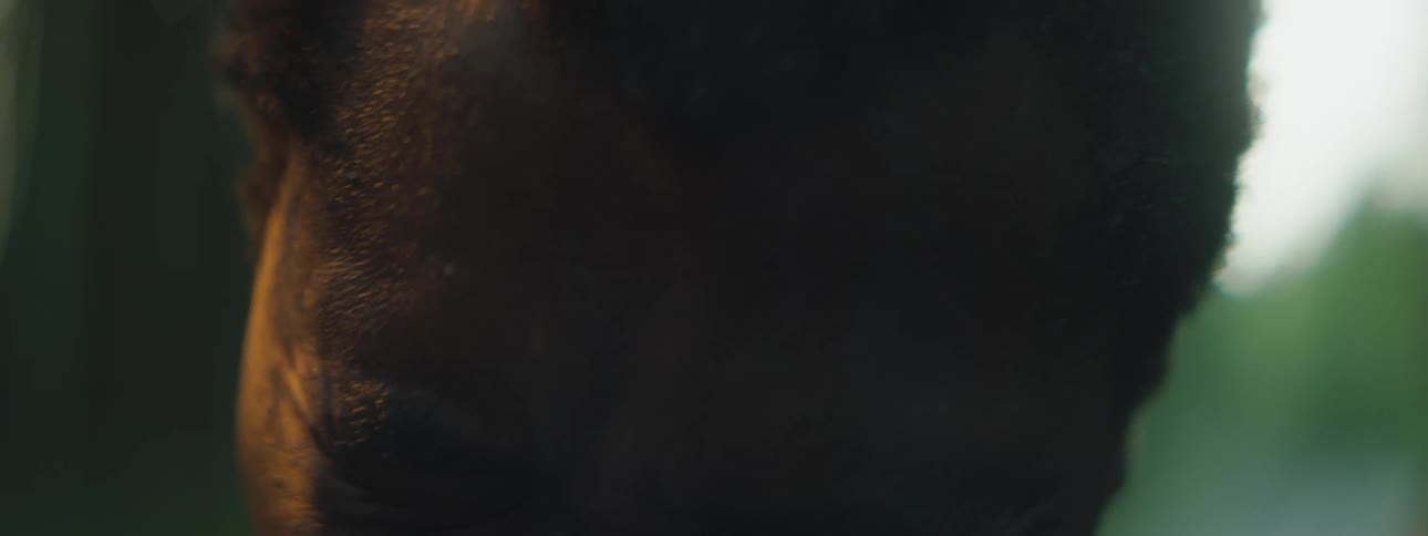 Close up of a sad man crying bitterly in the woods
