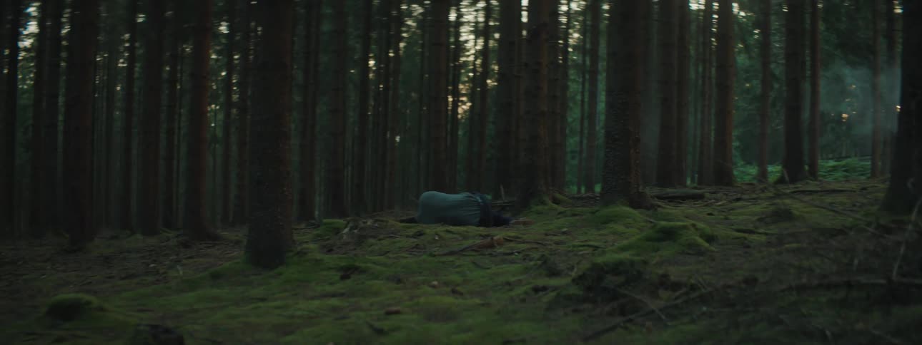 An injured man lying on a forest floor surrounded by tall trees