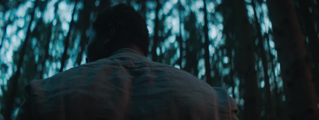 A man in the woods stands up and looks around
