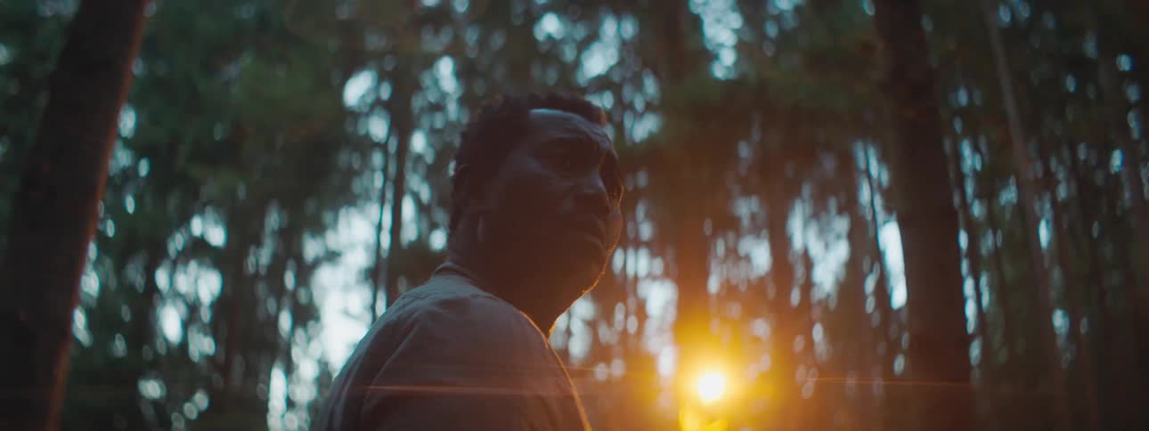 A confused looking man standing outside in a forest surrounded by tall trees and a bright light