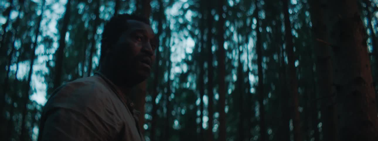 Man stands and looks around a dark forest surrounded by tall skinny trees