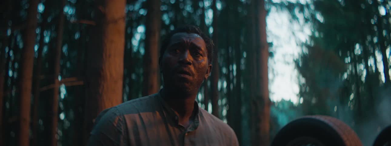 An upset looking man stands next to a flipped over and smoking vehicle in a forest