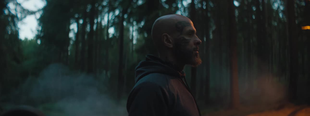 A man is walking in the woods at dusk