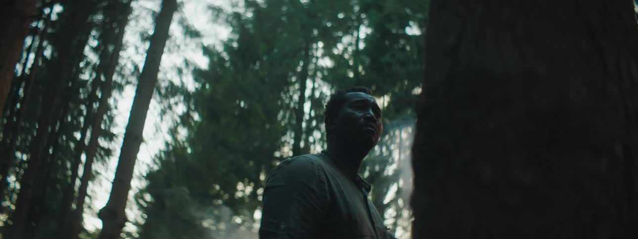 A man looks up at tall trees in a forest while standing next to his burning overturned vehicle