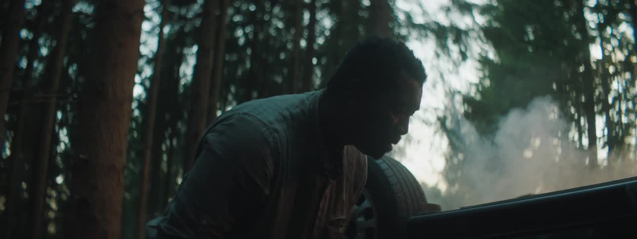 A man is standing in a forest next to his car