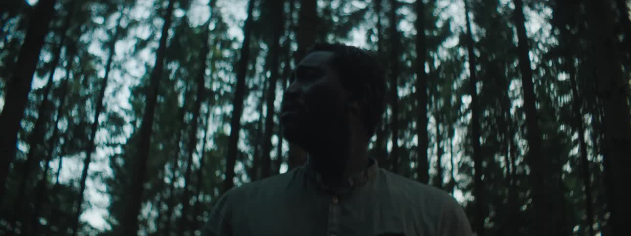 Man looks around in the dense forest at dusk