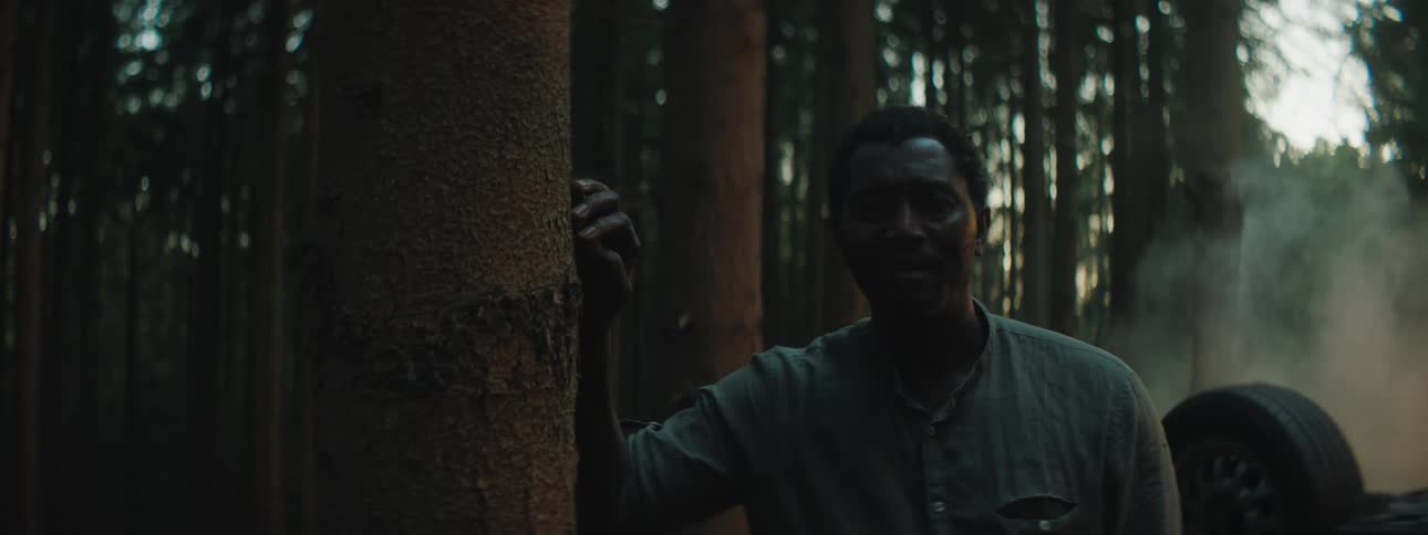 Man rests his hand on a tree trunk with exhaustion and cries next to the car crash in the woods at dusk