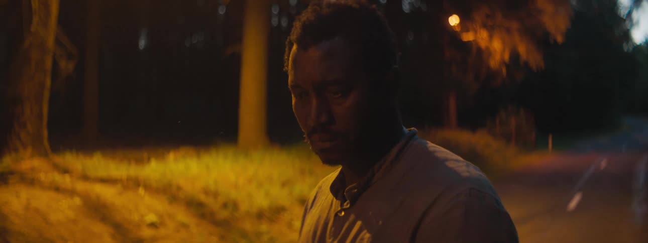 A man standing in the middle of a road next to a forest