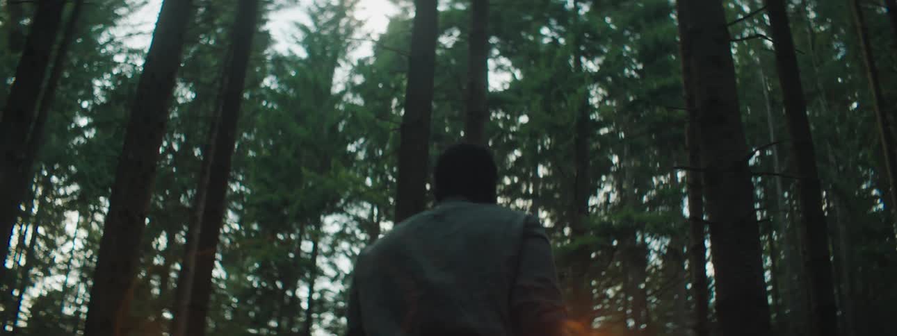 Man with a shirt walks up to a car crash upside down in the woods at dusk