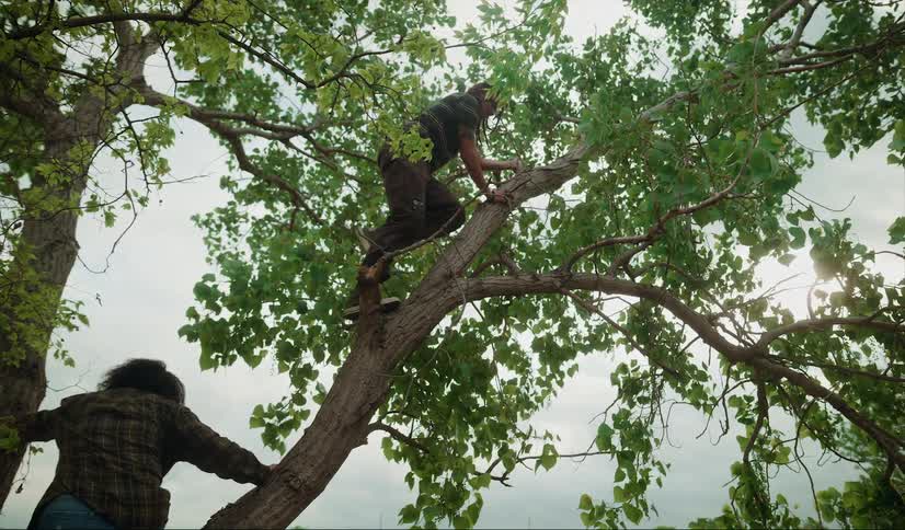 A couple is slowly climbing a tree by the river
