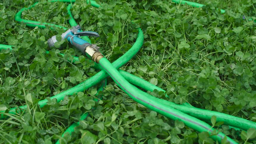 A water hose lying in the grass during the day