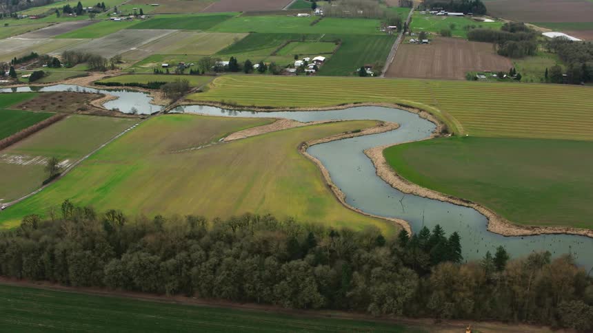 A stream runs through the field