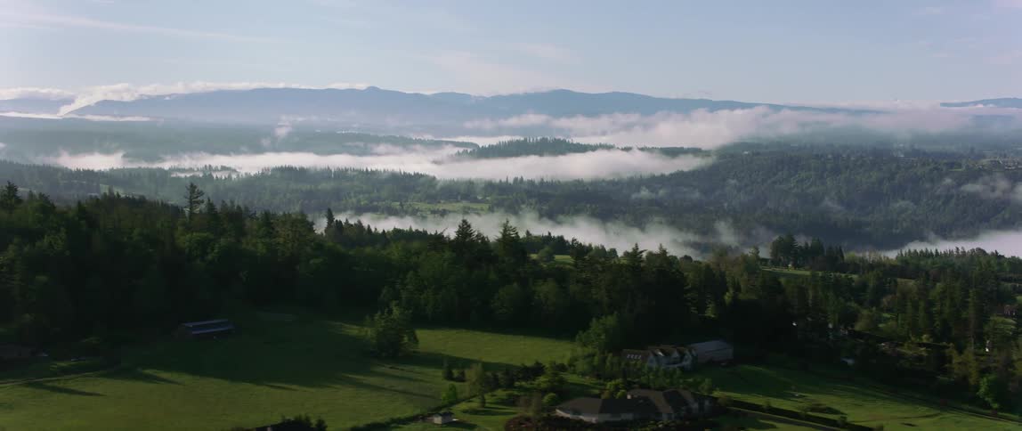 Houses are spread out near the top of a forested mountain
