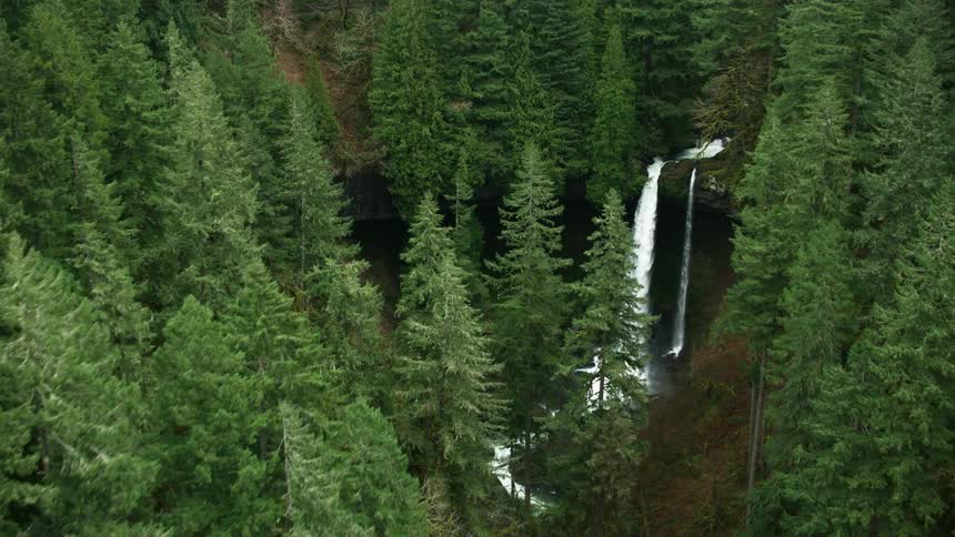 A waterfall is in the forest