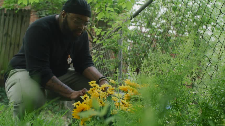 Man standing in the backyard crouches to pick up yellow flowers near a fence