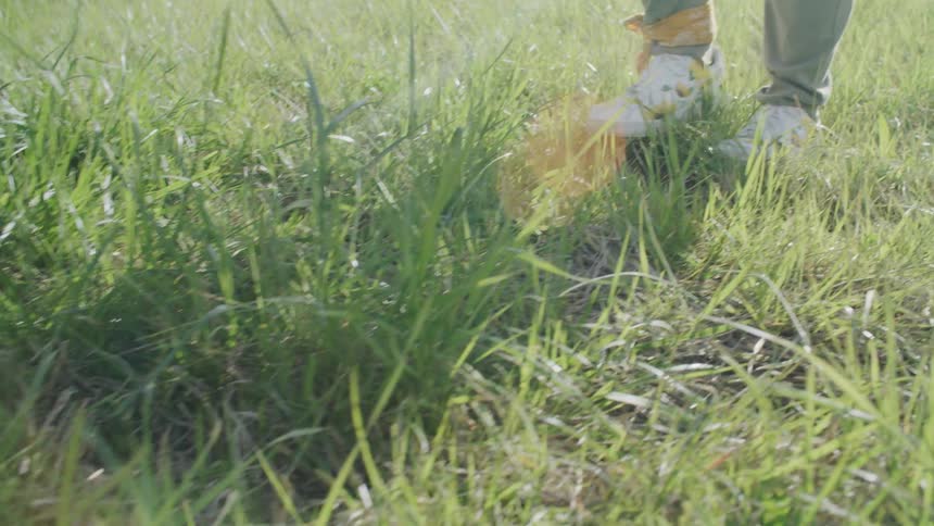 A child is walking in the grass