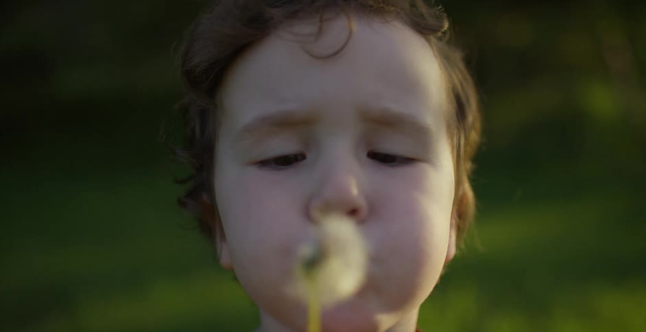 A boy blows the seeds off of a dandelion while standing outdoors during the day