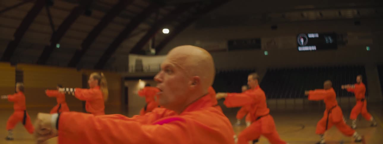 A group of martial artists do a routine in a gym
