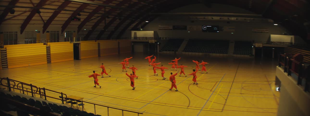 People performing martial arts in a stadium