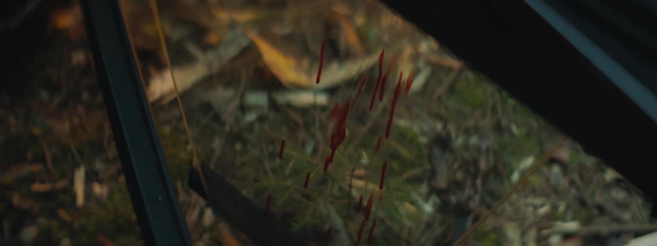 A black leather wallet sits on the grass and blood covers the window of a vehicle that has crashed