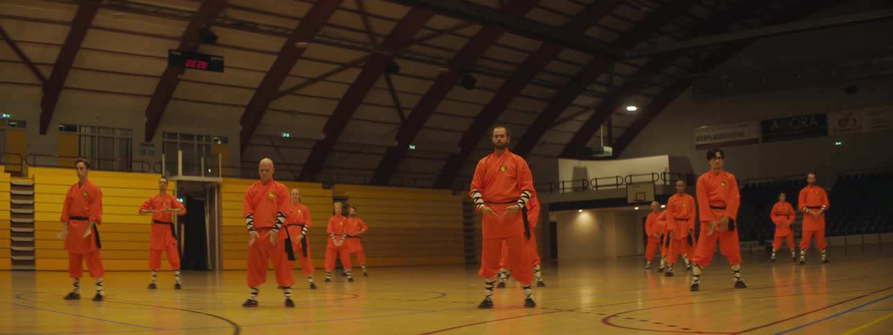 A group of martial artists practice martial arts forms in sync in a gymnasium
