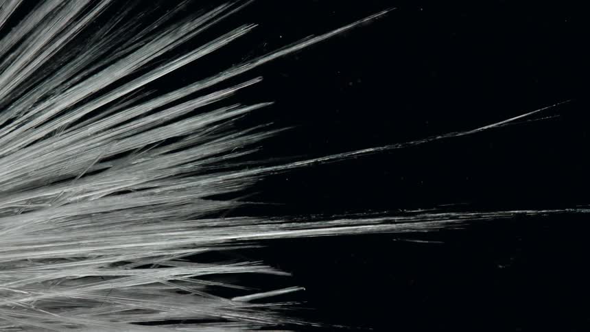 The white lines spread out