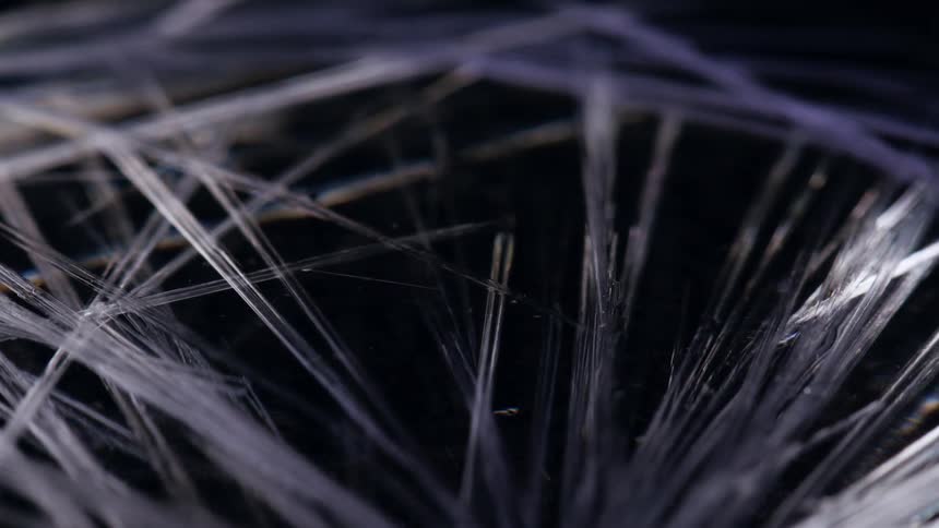 Abstract footage of what appears to be ice crystals forming