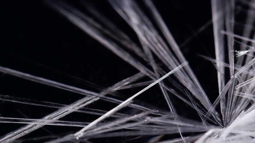 Ice lines expanding and cracking